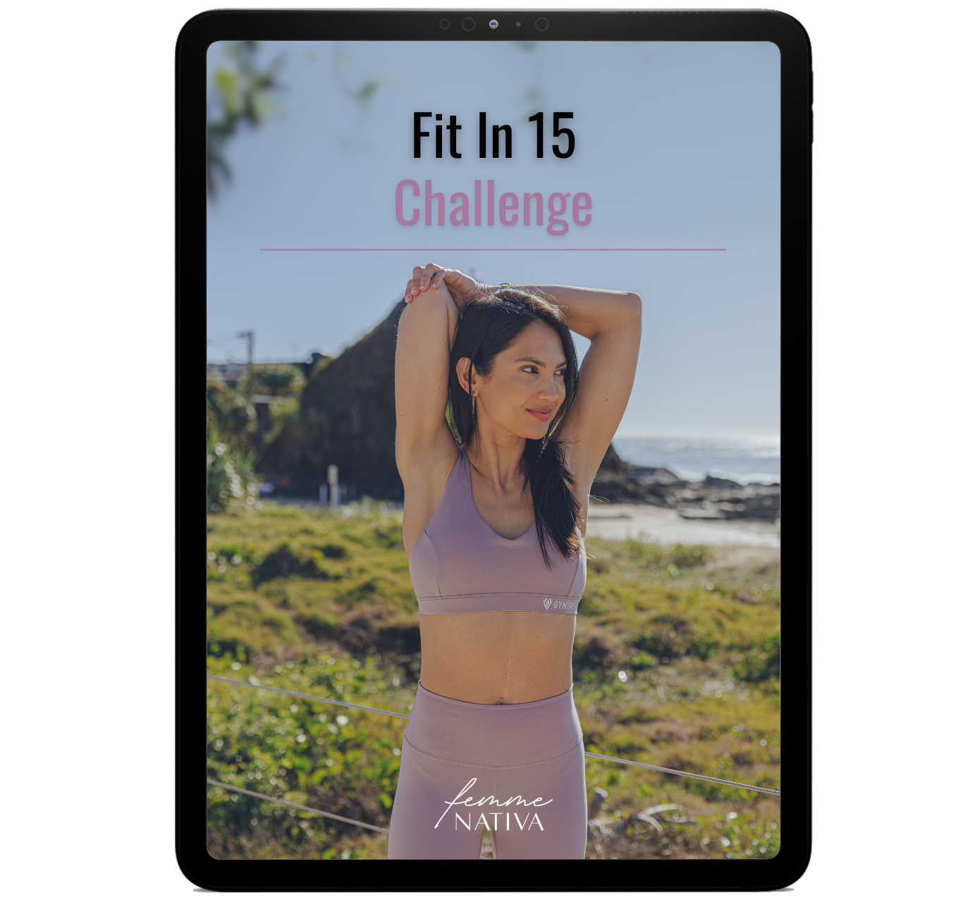 Fit In 15 Challenge